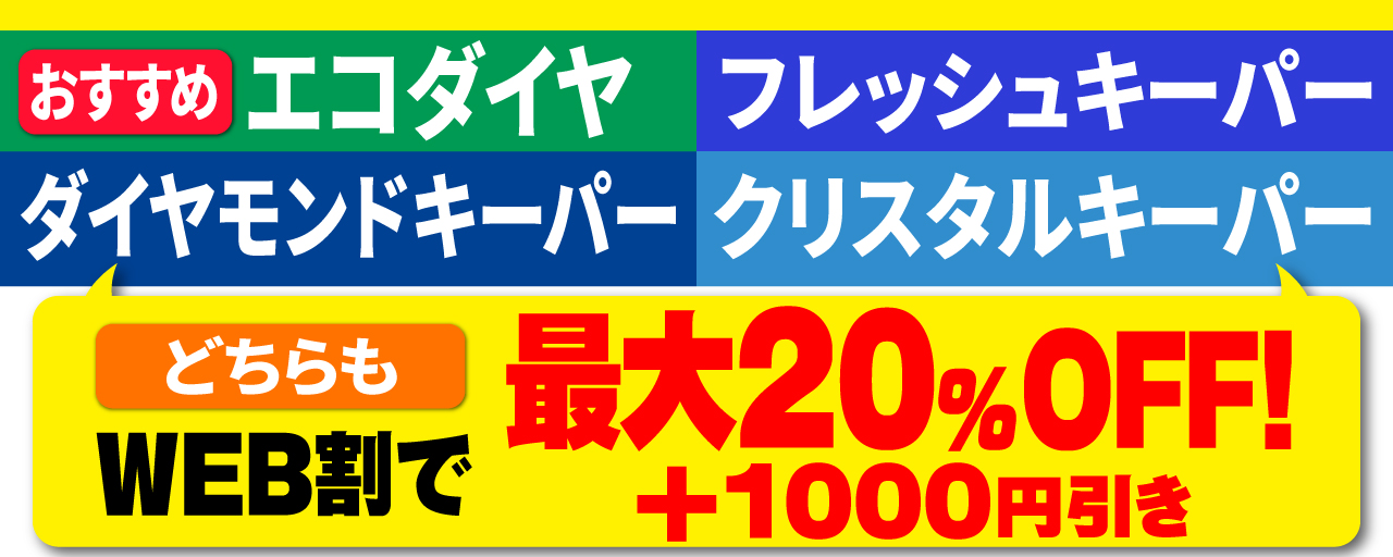 エコダイヤ・Wダイヤキーパー